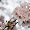 高校でわかりにくい授業はダメダメ。時間を忘れさせる授業こそ求められている！！