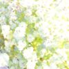 奨学金で高校から大学へ！でも、成績が悪いと無利子はダメ。卒業即返済スタート