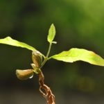 学校の黒板をきれいに維持する方法をご存知？掃除の時間に毎日することは？